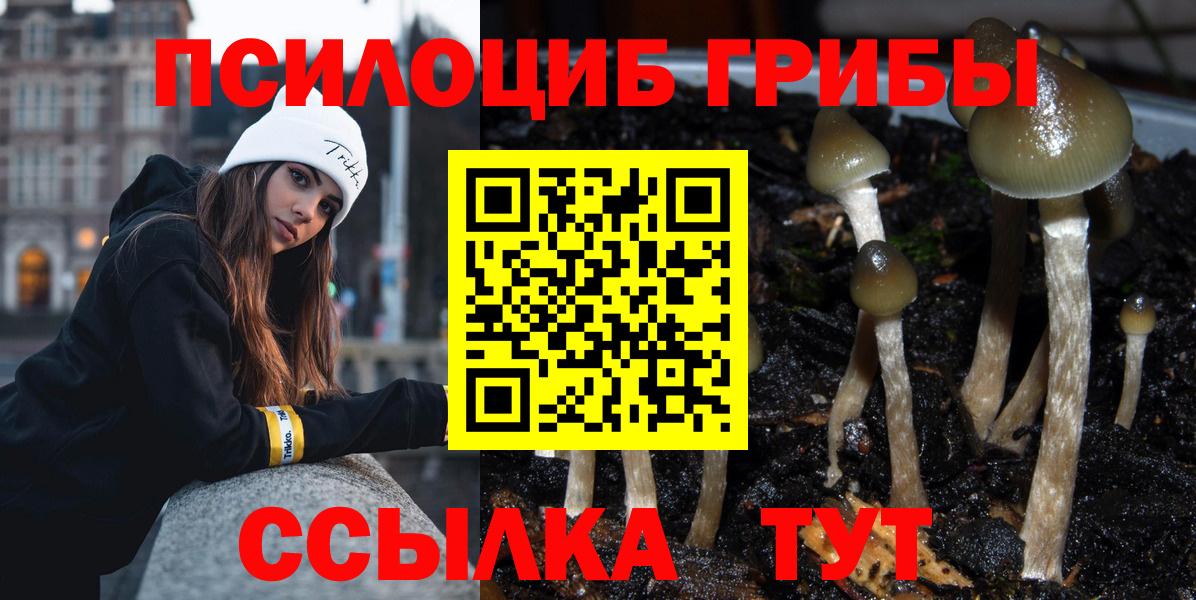 Галлюциногенные грибы Psilocybine cubensis  Галлюциногенные грибы GOLDEN TEACHER  Ревда  Вход с VPN 