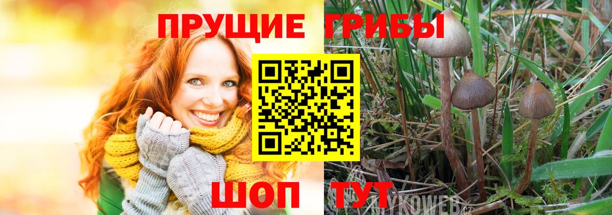 Галлюциногенные грибы MAGIC MUSHROOMS Ревда